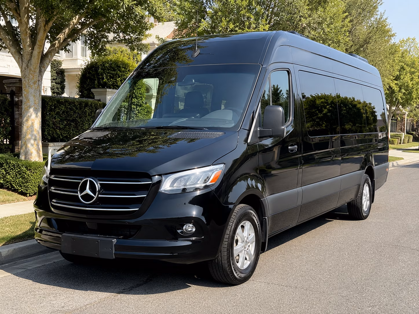 toledo 8 passenger sprinter van